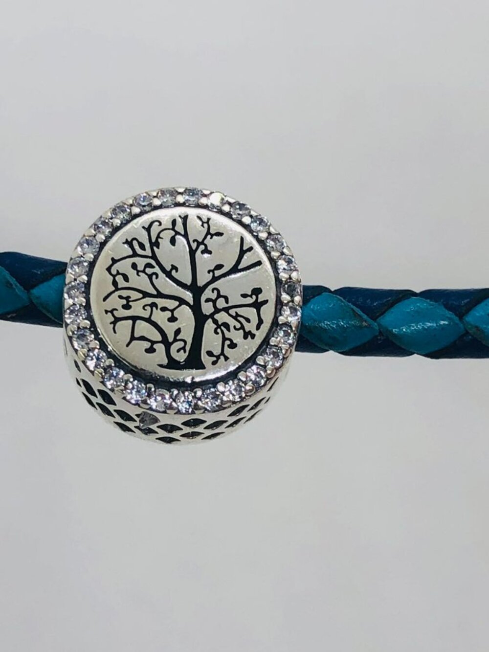 ✨✨Pandora Grandma Charm family tree Charm